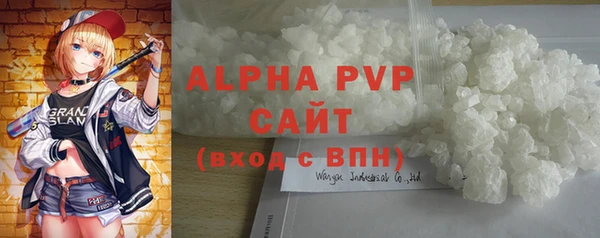 ПСИЛОЦИБИНОВЫЕ ГРИБЫ Инсар