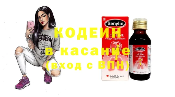ПСИЛОЦИБИНОВЫЕ ГРИБЫ Инсар