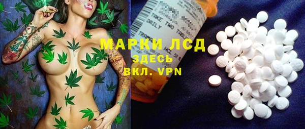 ПСИЛОЦИБИНОВЫЕ ГРИБЫ Инсар