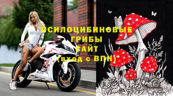 ПСИЛОЦИБИНОВЫЕ ГРИБЫ Инсар