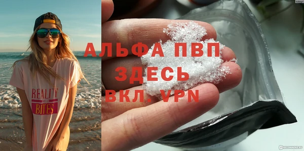 ПСИЛОЦИБИНОВЫЕ ГРИБЫ Инсар