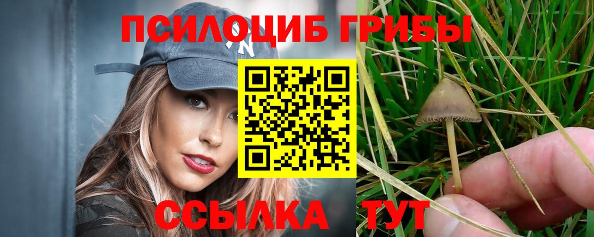 Галлюциногенные грибы MAGIC MUSHROOMS  Вход с VPN  Галлюциногенные грибы Psilocybine cubensis  Касимов 